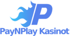 https://paynplay-kasinot.com/